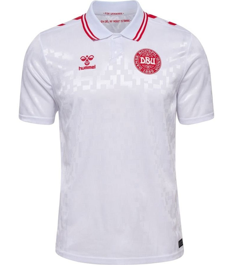 Camiseta Selección Dinamarca 2024/25 Visita