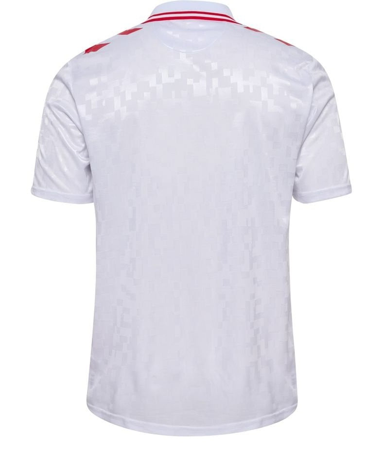 Camiseta Selección Dinamarca 2024/25 Visita