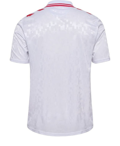 Camiseta Selección Dinamarca 2024/25 Visita