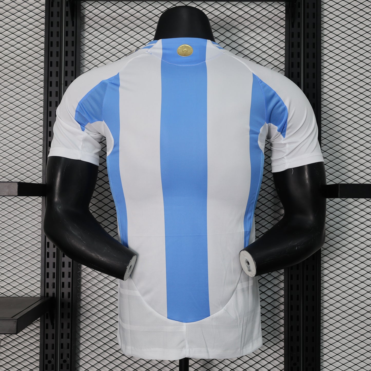 Camiseta Selección Argentina 2024 Local Versión Jugador Manga Larga