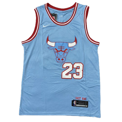 Camiseta Chicago Bulls Azul