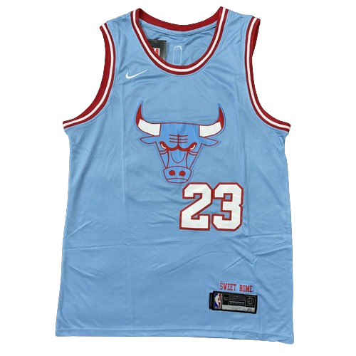 Camiseta Chicago Bulls Azul