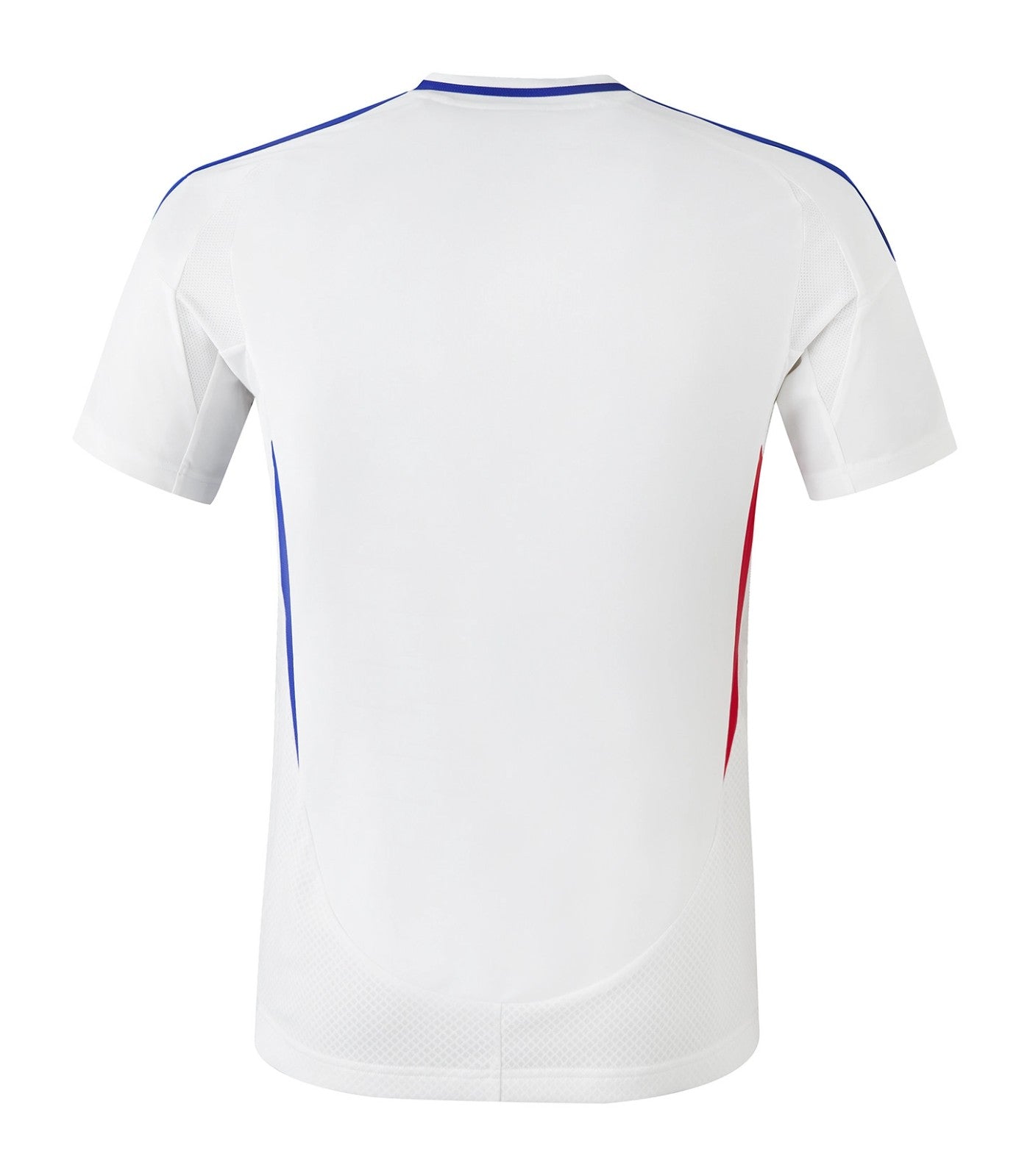 Camiseta Olympique Lyon 2024/25 Versión Jugador Local