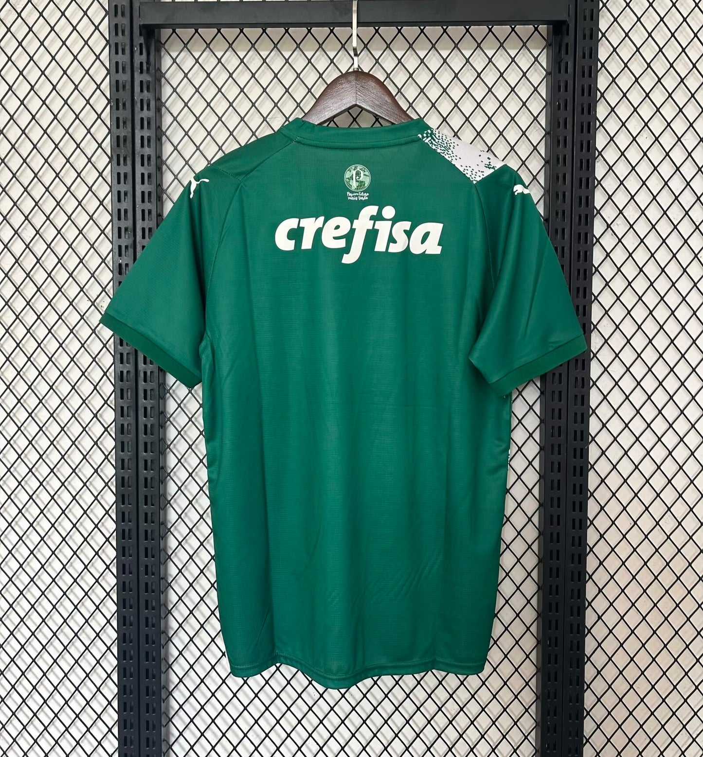 Camiseta Palmeiras 2024/25 Edicion Especial Verde